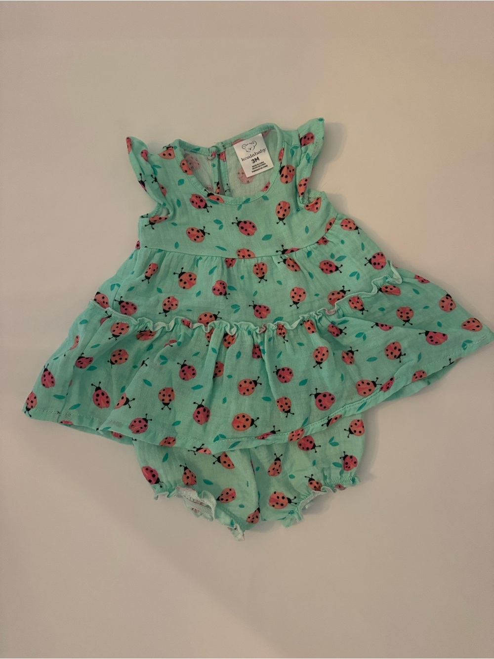 Mint Green Ladybug Dress & Bloomers Set